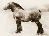 stallion Albion d'Hor (Brabant/Belgian draft horse, 1916, from Conquerant de Terhaegen)
