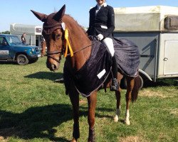 dressage horse Josina (Hessian Warmblood, 2006, from Jazz Time)