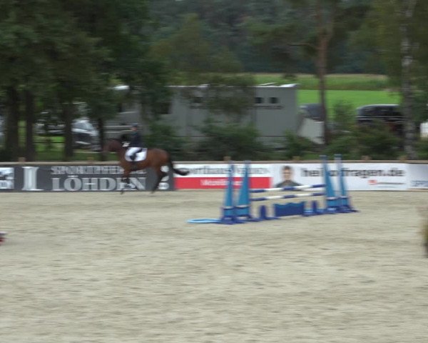 Reitturnier Westergellersen 2021