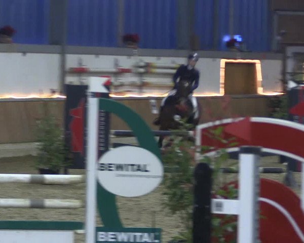 Reitturnier Südlohn-Oeding 2019