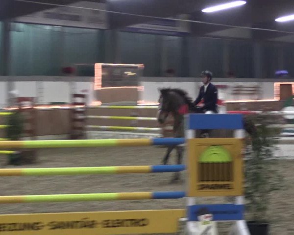 Reitturnier Südlohn-Oeding 2019