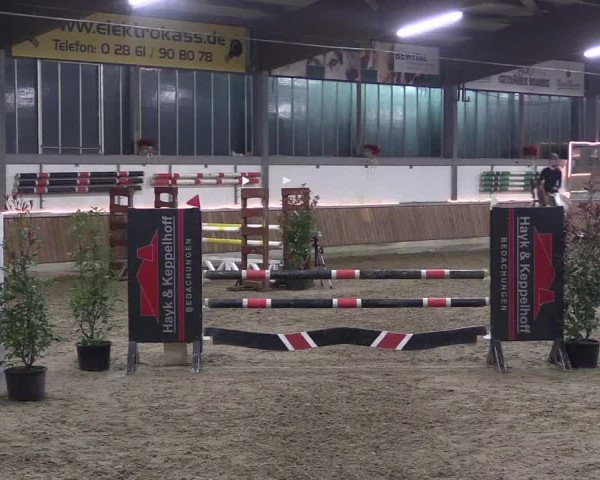 Reitturnier Südlohn-Oeding 2019