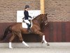 dressage horse Fudge (KWPN (Royal Dutch Sporthorse), 2010, from United)