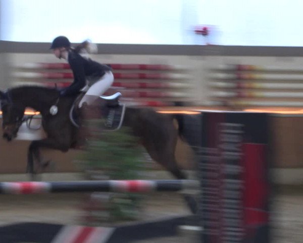 Reitturnier Südlohn-Oeding 2019