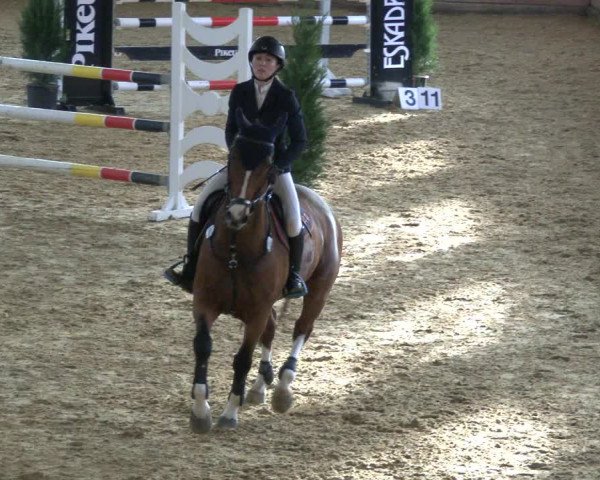 Reitturnier Bad Salzuflen 2019