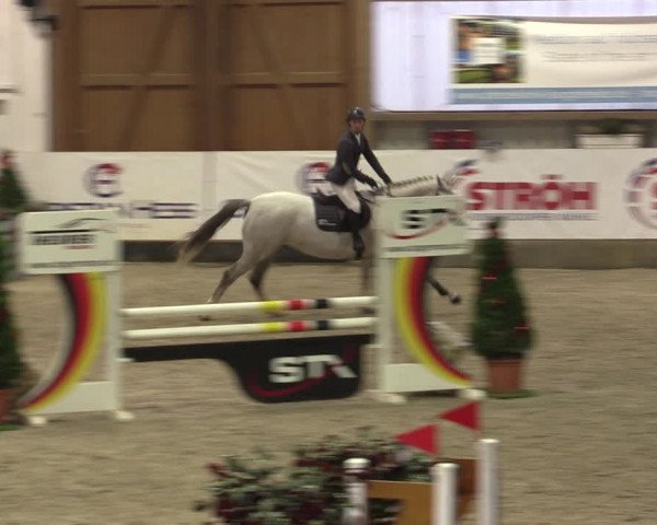 Nordic Jumping events 2019