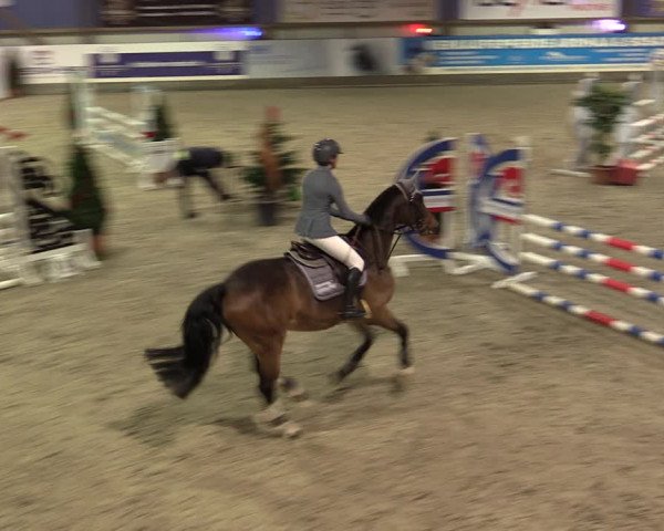 Nordic Jumping events 2019