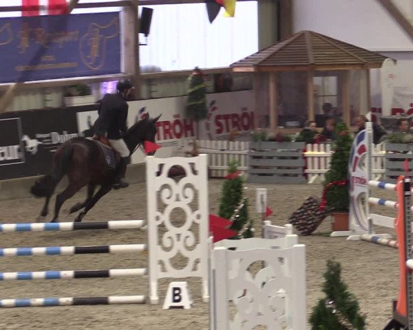Nordic Jumping events 2019