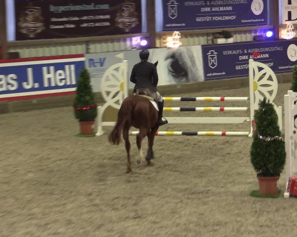 Nordic Jumping events 2019