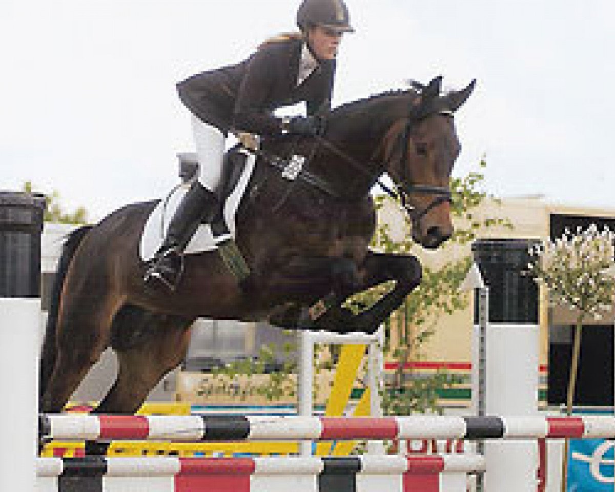 broodmare Julios Roeschen (Hanoverian, 1999, from Julio Mariner xx)