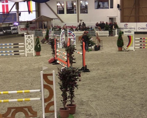 Nordic Jumping events 2019
