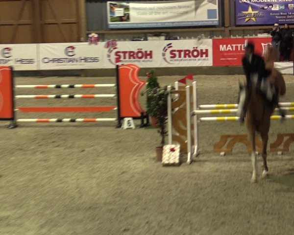 Nordic Jumping events 2019