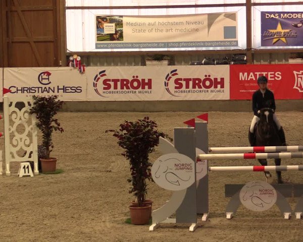 Nordic Jumping events 2019