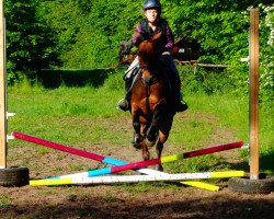 broodmare Maja (Welsh-Pony (Section B), 1995, from Thorvald)