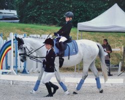 dressage horse Escada 267 (Polish Warmblood, 2006, from Mariensztat xx)