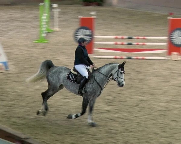 Reitturnier Prussendorf 2019