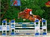 jumper Zooeptop (KWPN (Royal Dutch Sporthorse), 2004, from Sjapoo)