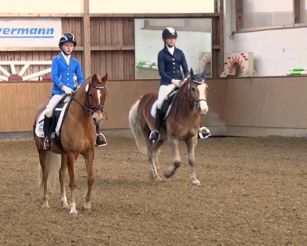 Reitturnier Jühnsdorf 2019