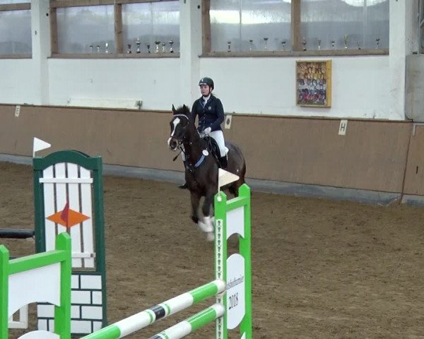 Reitturnier Jühnsdorf 2019