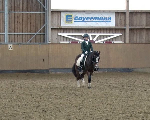 Reitturnier Jühnsdorf 2019