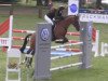 jumper Mac Cain H WE (German Riding Pony, 2010, from Machno Carwyn)