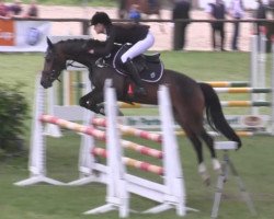 jumper Tina 488 (German Riding Pony, 2011, from Theo Jackson)