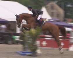 jumper Chaboffi (Hanoverian, 2011, from Chacco-Blue)