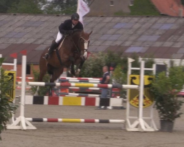 jumper Lola (Westphalian, 2011, from Last Mans Hope)