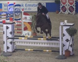 jumper Bubalou (Hanoverian, 2011, from Balou du Rouet)