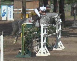 jumper Eric Einstein (Oldenburg show jumper, 2011, from Elliot van Ter Hulst)