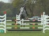 jumper VDL Groep Callida 2 (German Sport Horse, 2010, from Callado 2)