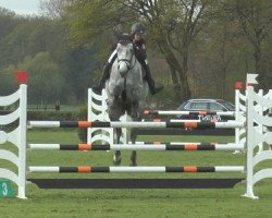 jumper VDL Groep Callida 2 (German Sport Horse, 2010, from Callado 2)