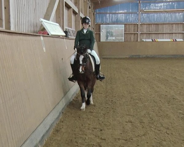 Reitturnier Jühnsdorf 2019