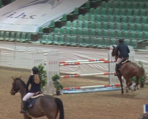 Reitturnier Kreuth/Opf. 2019
