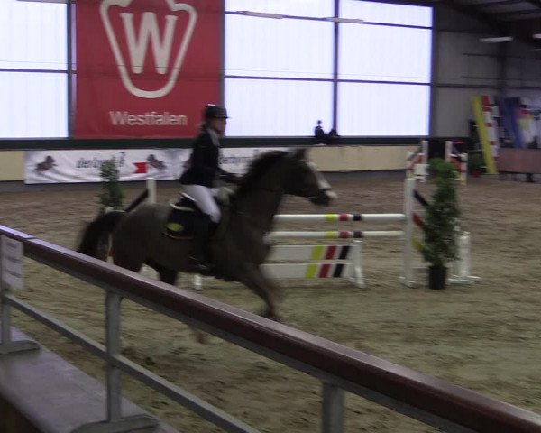 Reitturnier Münster-Handorf 2019