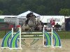 Springpferd I Like (Belgisches Warmblut, 2008, von Winningmood van de Arenberg)