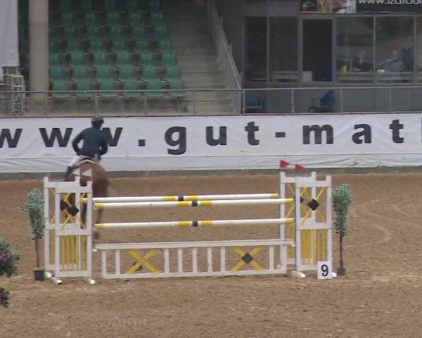 Reitturnier Kreuth/Opf. 2019