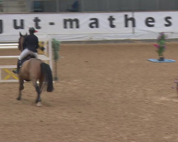 Reitturnier Kreuth/Opf. 2019