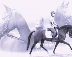 Dressurpferd Valido's Co (Deutsches Reitpony, 2009, von Valido's Highlight)