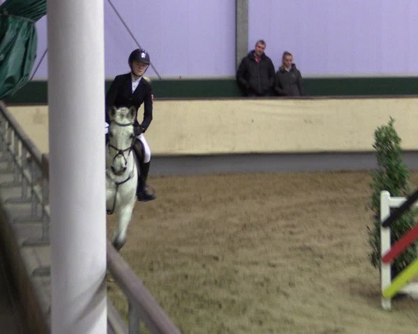 Reitturnier Münster-Handorf 2019