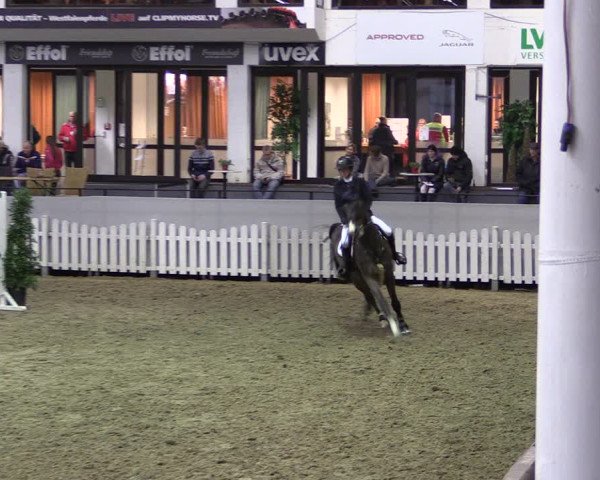 Reitturnier Münster-Handorf 2019