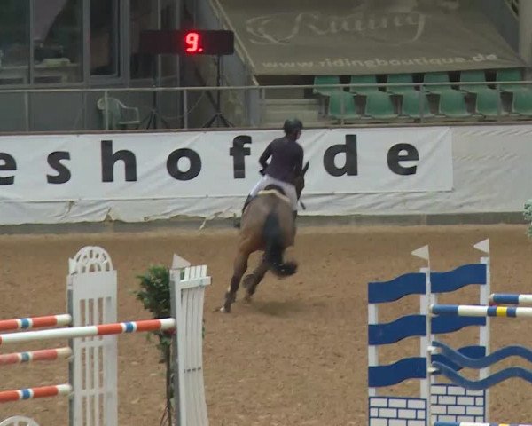 Reitturnier Kreuth/Opf. 2019