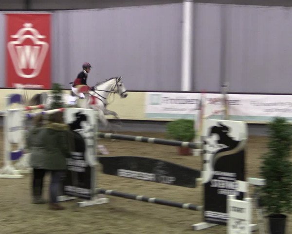 Reitturnier Münster-Handorf 2019