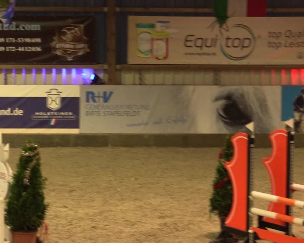 Nordic Jumping events 2019