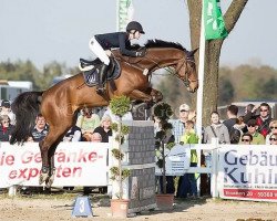 jumper Filias Boy (Westphalian, 2003, from Floresco NRW)