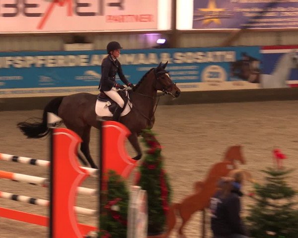 Nordic Jumping events 2019