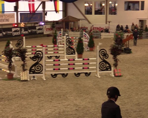 Nordic Jumping events 2019