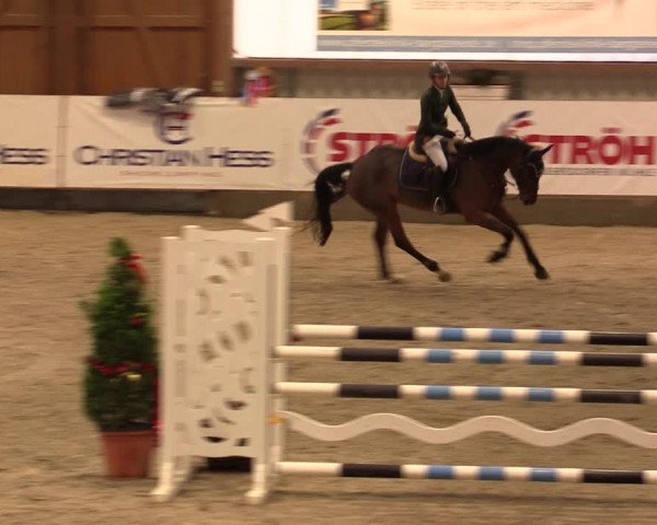 Nordic Jumping events 2019