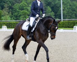 dressage horse Femme Fatale G (Hanoverian, 2013, from Foundation 2)