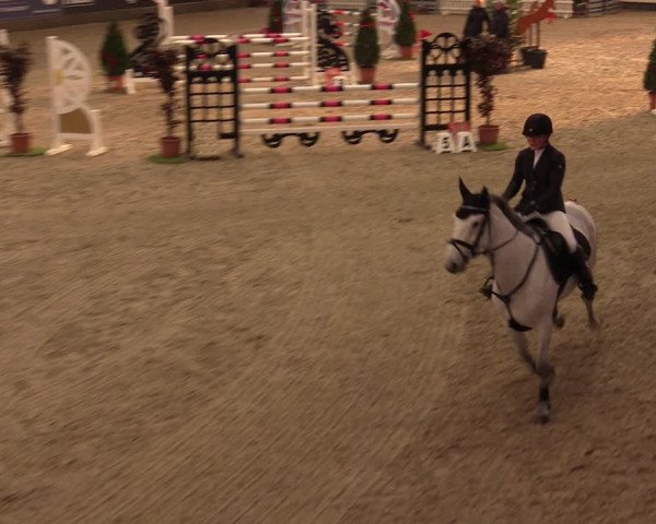Nordic Jumping events 2019